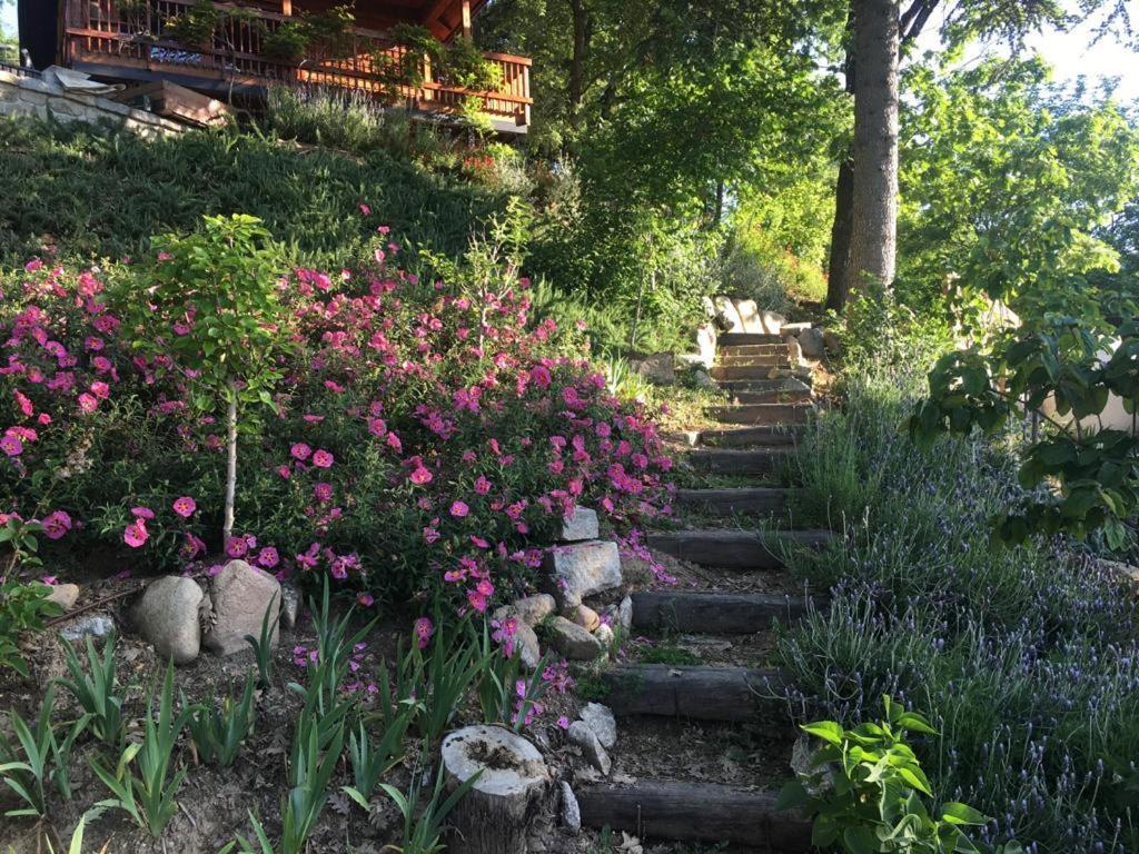 Nima Navacerrada Villa Dış mekan fotoğraf